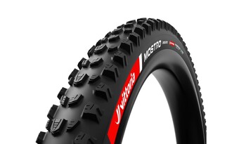 vittoria plasc mostro enduro 29×24 crna tlr ebikeready