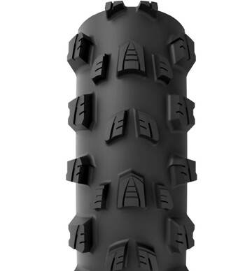 vittoria plasc mostro race enduro 29×24 crna tlr ebr