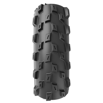 vittoria plasc barzo 29×24 xct retro tlr tss ebike ready